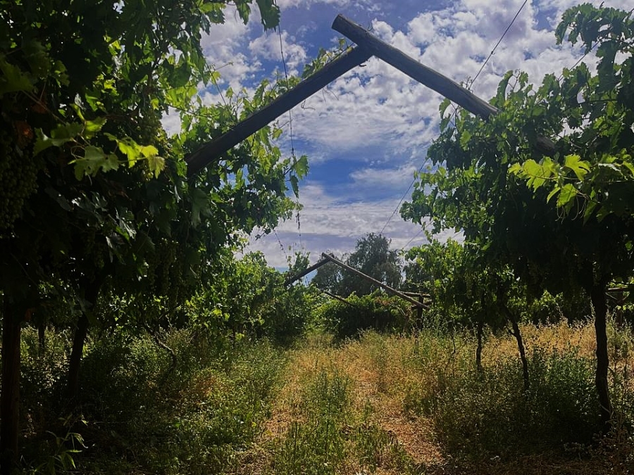 Commercial Property for Sale in Groblershoop Northern Cape